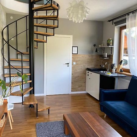 Appartement Dom Z Widokiem à Krynica-Zdrój Extérieur photo